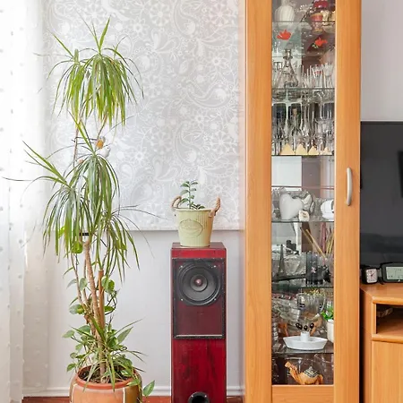 Cozy Near The And Center Apartment *